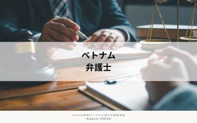 ベトナムの弁護士制度と資格を徹底解説｜知っておくべき法的支援の仕組み